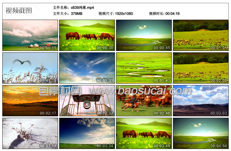 c639鸿雁14.jpg