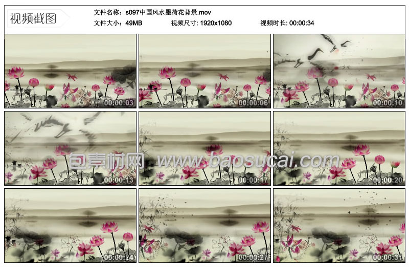 s097中国风水墨荷花背景.jpg