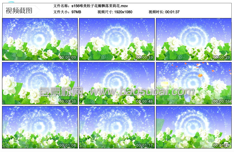 s156唯美粒子花瓣飘落茉莉花.jpg