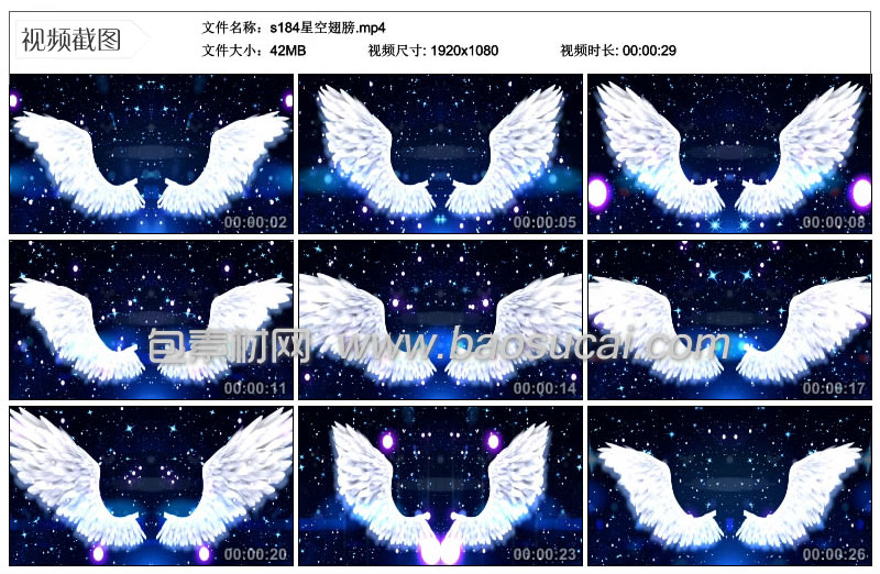s184星空翅膀.jpg
