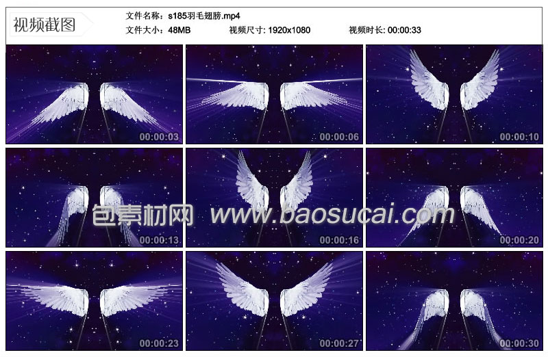 s185羽毛翅膀.jpg
