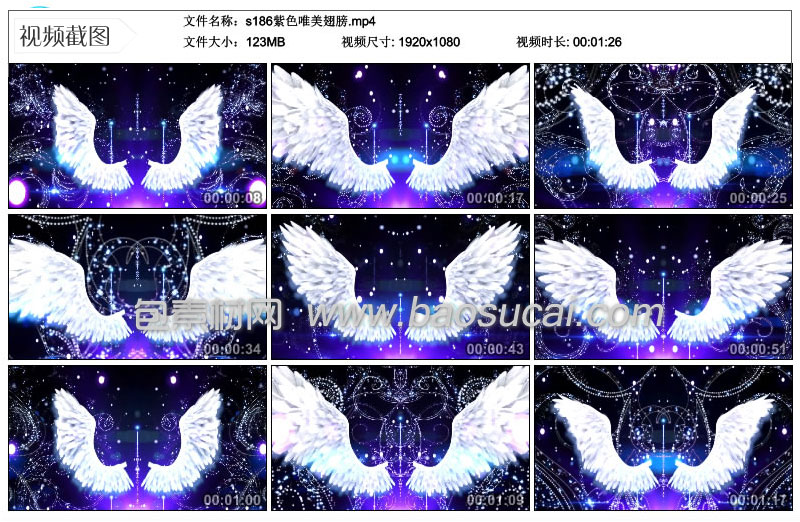 s186紫色唯美翅膀.jpg