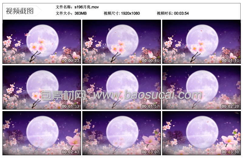 s196月亮.jpg