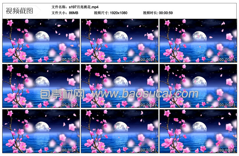 s197月亮桃花.jpg