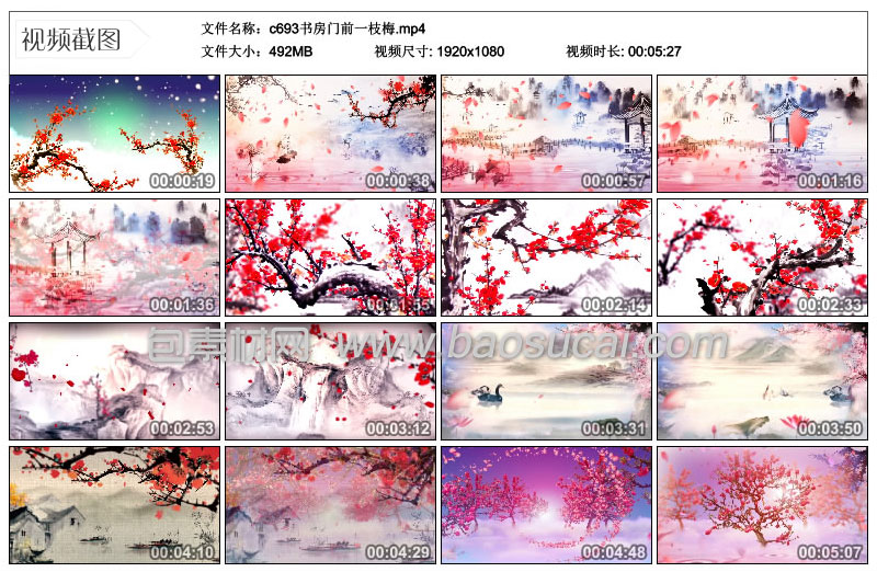 c693书房门前一枝梅5.jpg