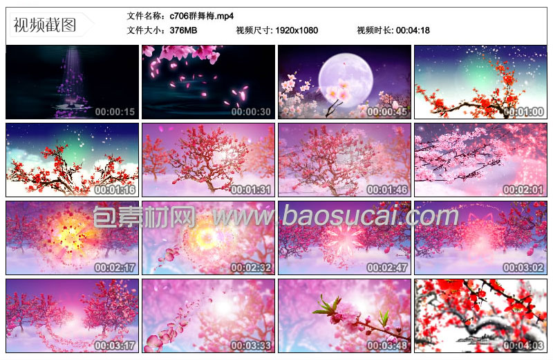 c706群舞梅36.jpg