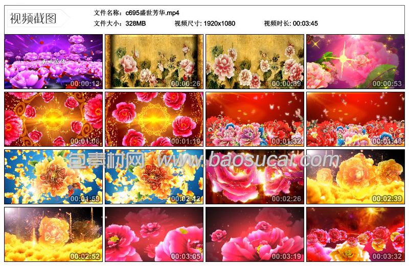 c695盛世芳华5.jpg