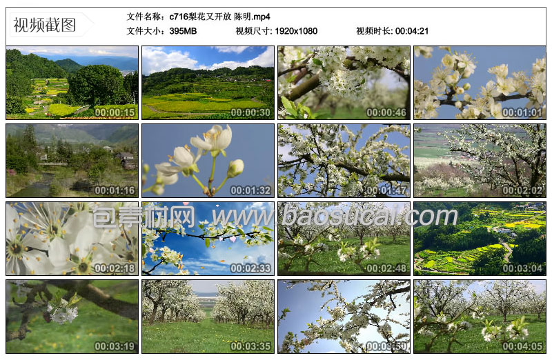 c716梨花又开放-陈明15.jpg