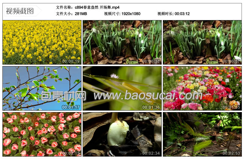 c894春意盎然-开场舞.10_54_01.jpg
