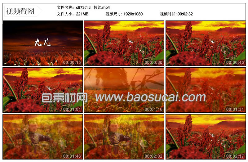 c873九儿-韩红.1_13.jpg
