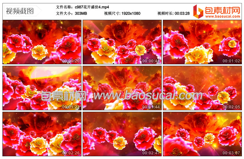 c987花开盛世48_20.jpg