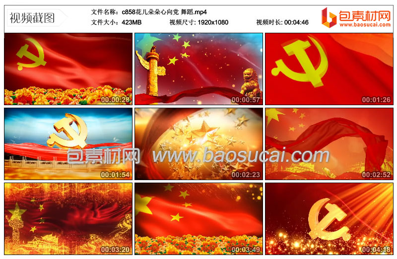 c858花儿朵朵心向党-舞蹈.mp4_thumbs_2021.05.30.12_11_54.jpg