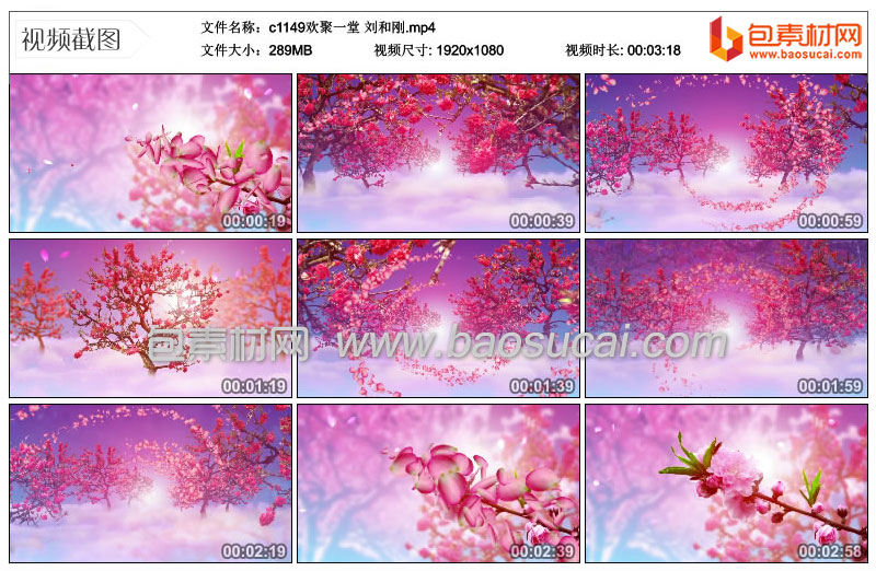 c1149欢聚一堂-刘和刚.mp4_thumbs_2021.05.30.09_28_54.jpg