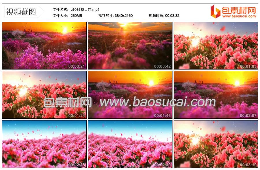 c1086映山红.mp4_thumbs_2021.08.07.10_55_02.jpg