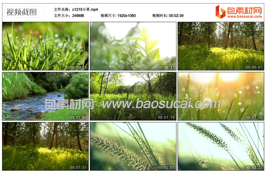 c1215小草.mp4_thumbs_2022.01.08.18_17_40.jpg