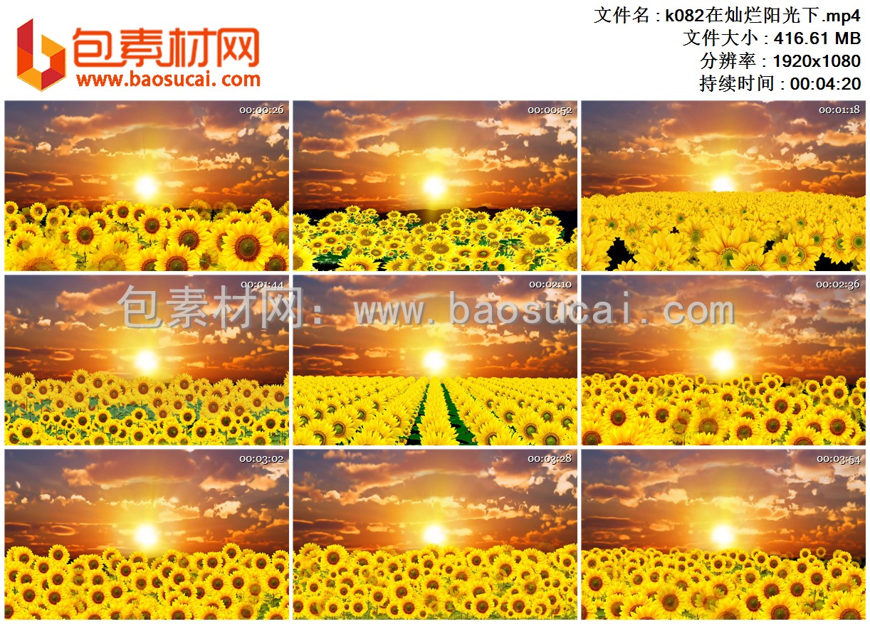 k082在灿烂阳光下.mp4.jpg