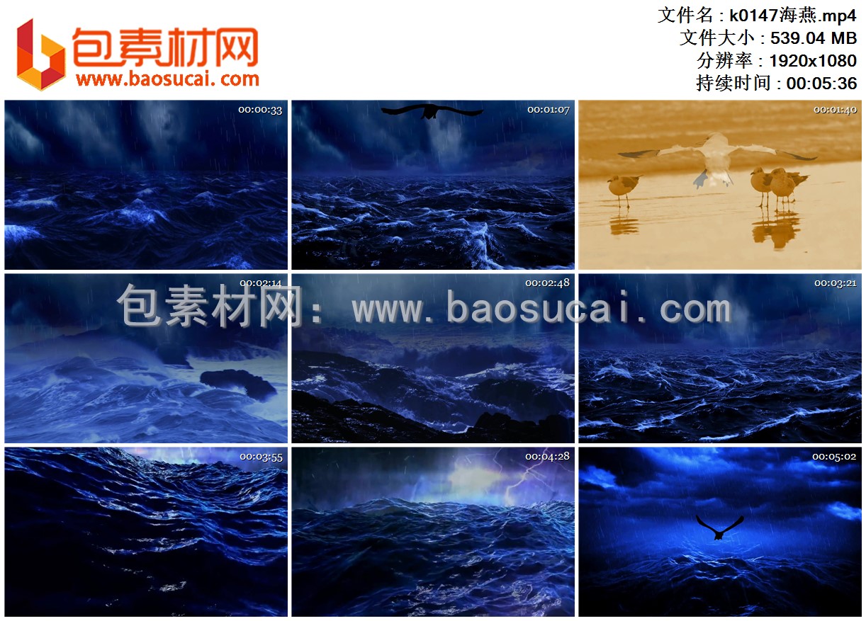 k0147海燕.mp4.jpg