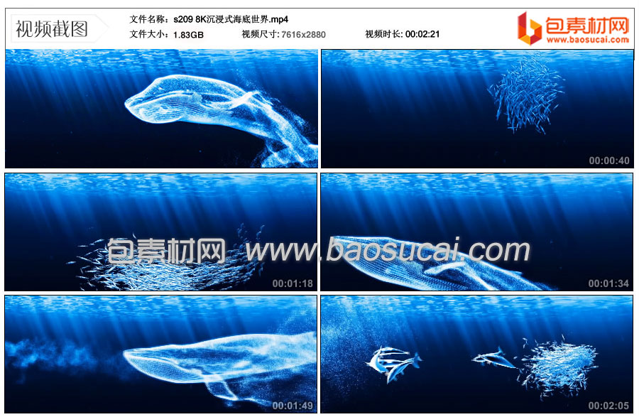 s209-8K沉浸式海底世界.mp4_thumbs_2022.08.18.10_51_53.jpg