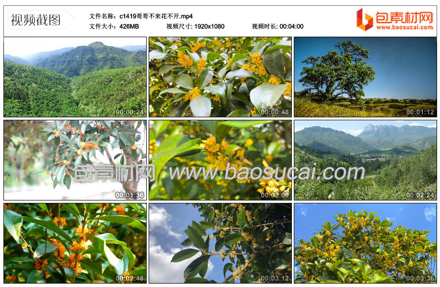 c1419哥哥不来花不开.mp4_thumbs_2023.08.01.18_39.jpg