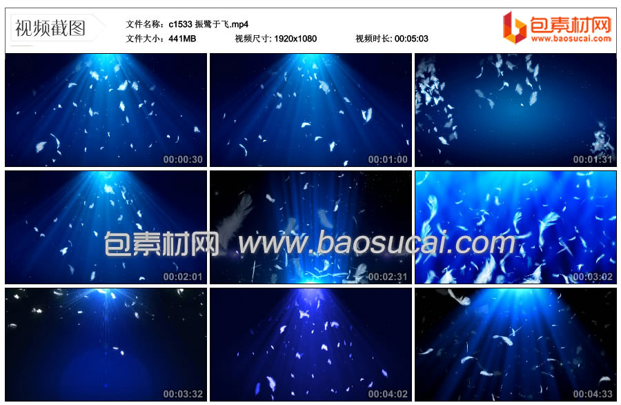 c1533-振鹭于飞.mp4_thumbs_2024.01.08.16_09_07.jpg