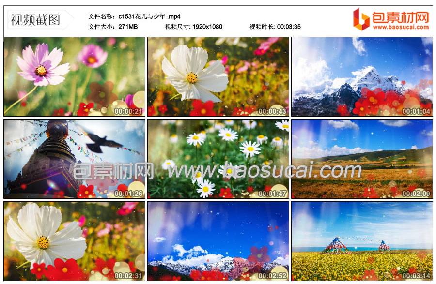 c1531花儿与少年-.mp4_thumbs_2024.03.13.11_55_13.jpg