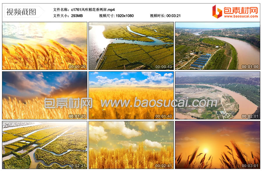 c1761风吹稻花香两岸.mp4_thumbs_2025.02.05.15_54_20.jpg