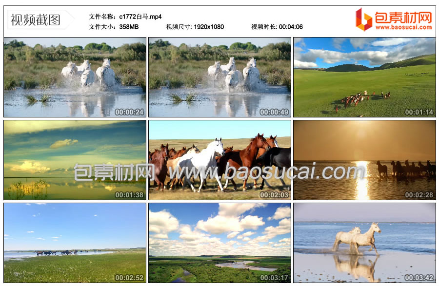 c1772白马.mp4_thumbs_2025.05.08.12_49_52.jpg