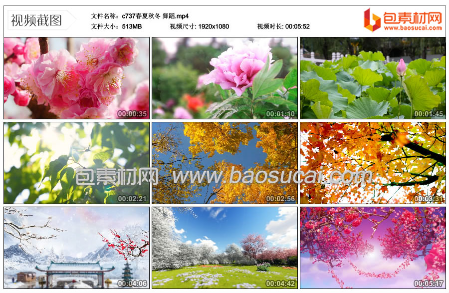 c737春夏秋冬-舞蹈.mp4_thumbs_2025.12.28.23_24_14.jpg