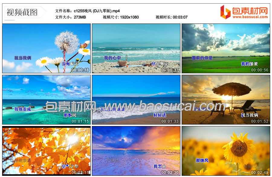 c1255晚风-(DJ九零版).mp4_thumbs_2026.01.10.14_05_00.jpg